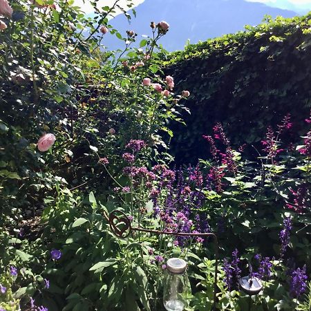 "Natur Pur" Ferienwohnung Mit Eigener Sauna Rons Kültér fotó