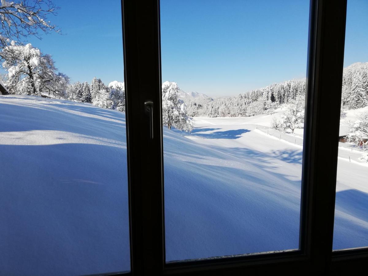 "Natur Pur" Ferienwohnung Mit Eigener Sauna Rons Kültér fotó