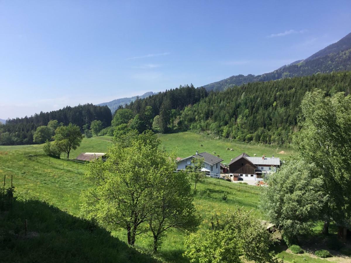 "Natur Pur" Ferienwohnung Mit Eigener Sauna Rons Kültér fotó